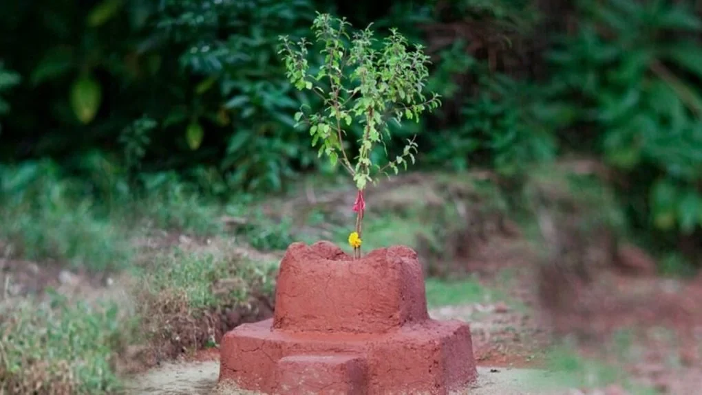 यसरी मनाइन्छ हरिशयनी एकादशी