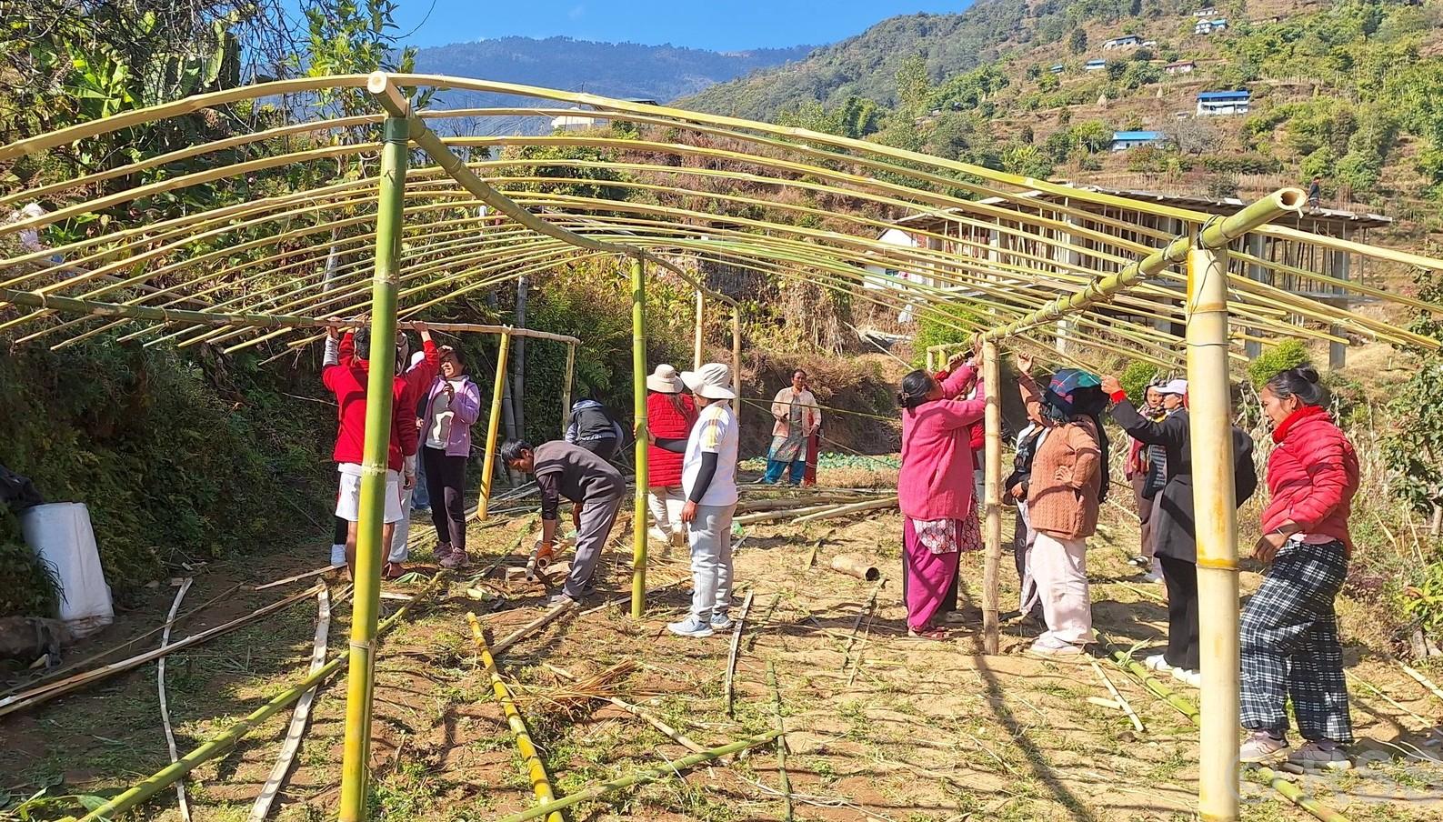 भोजपुर तिम्माका महिलालाई व्यावसायिक तरकारी खेतीसम्बन्धी पाँच दिने तालिमसहित टनेल वितरण