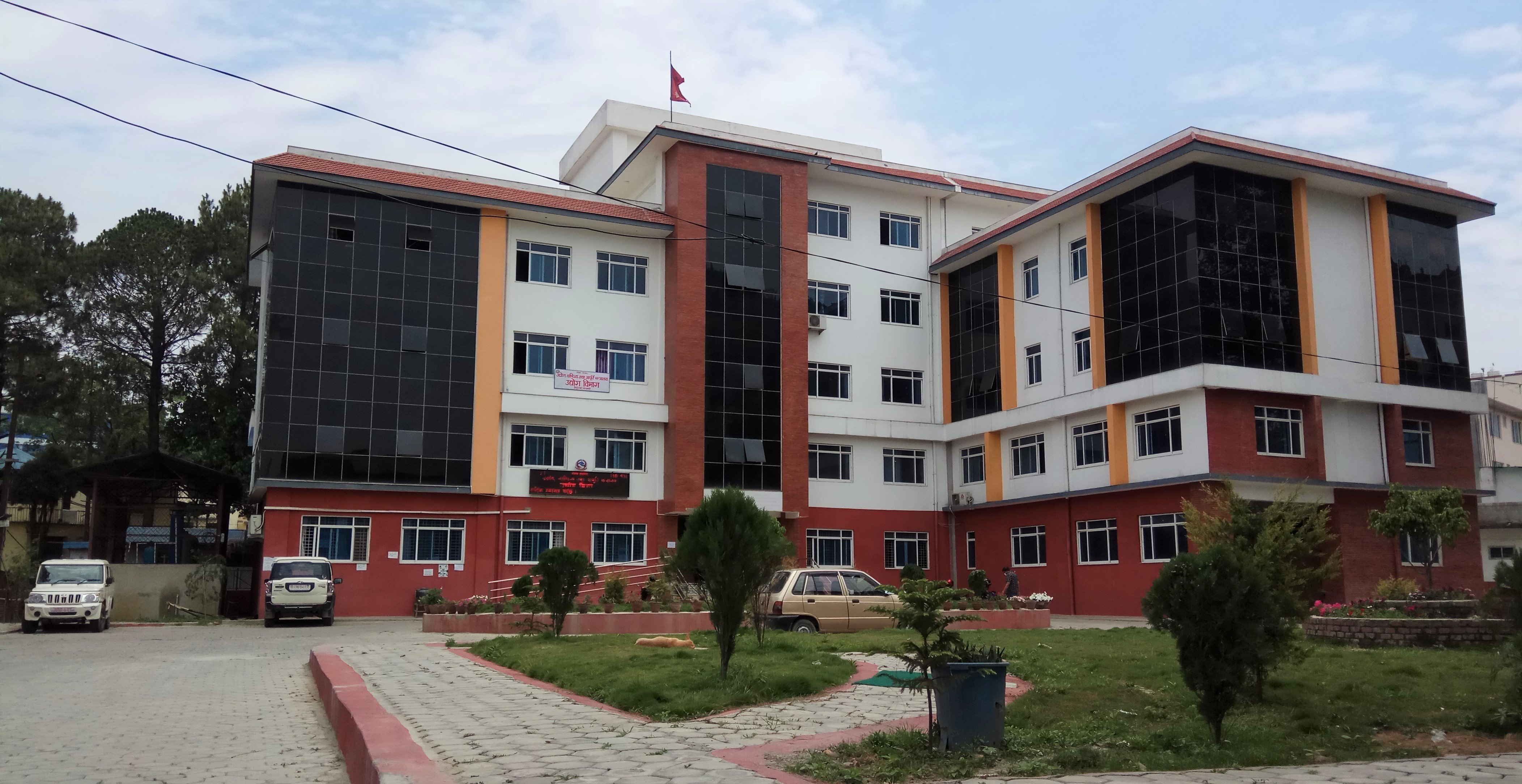 १० महिनामा ४५ अर्बभन्दा बढी वैदेशिक लगानी प्रतिबद्धता, कृषिमा सबैभन्दा धेरै आकर्षण
