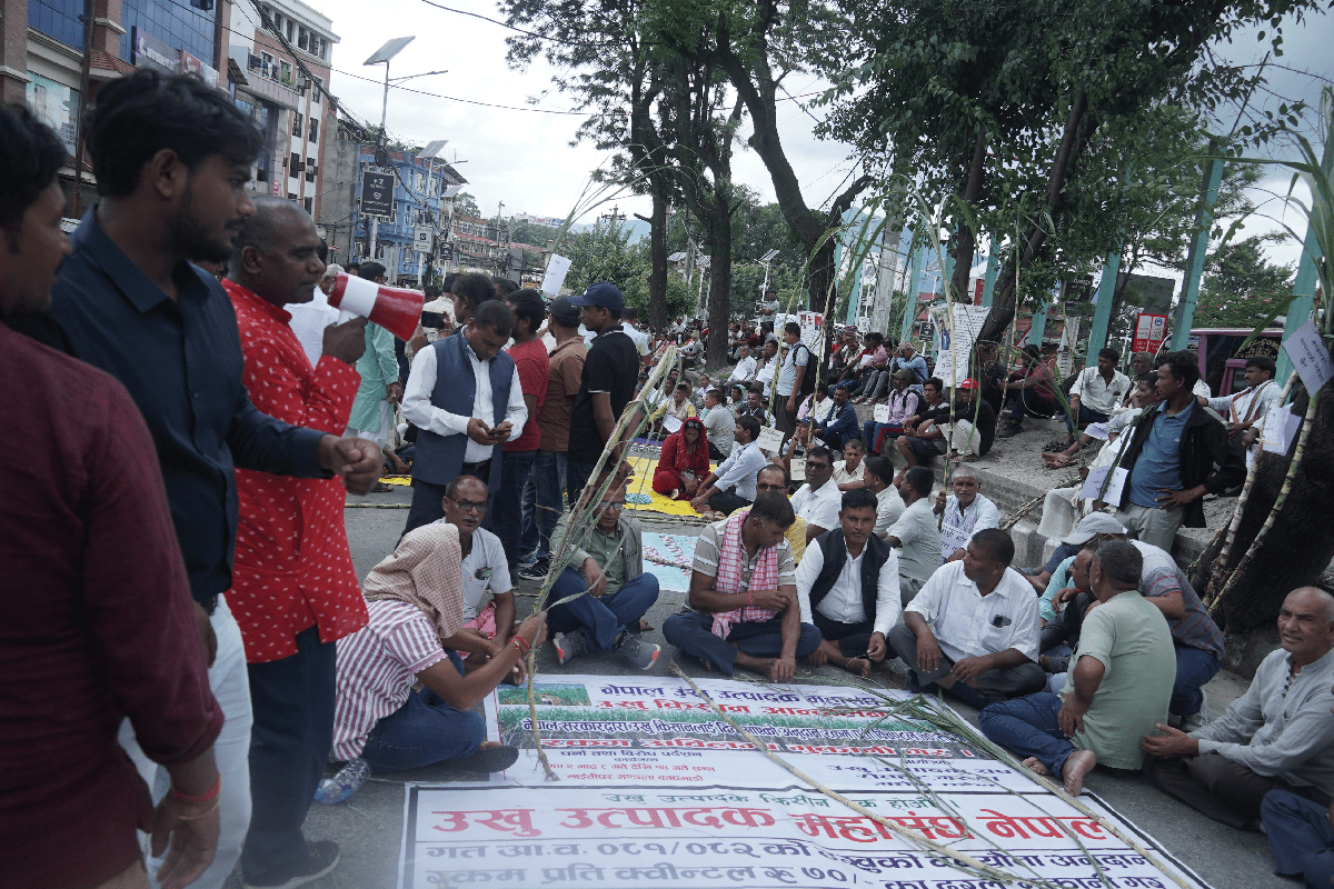 उखुको समर्थन मूल्य घटाउने सरकारको निर्णयप्रति माओवादी केन्द्रको आपत्ति