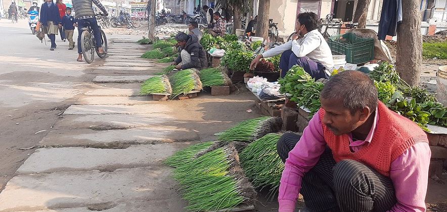 बिक्रीका लागि तरकारीका बेर्ना