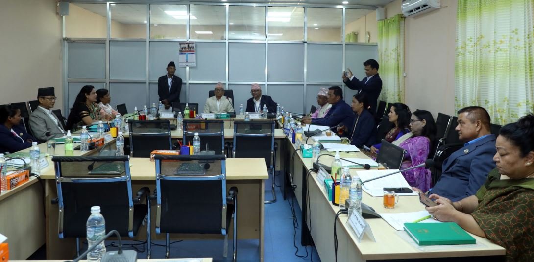 उद्योग तथा वाणिज्य र श्रम तथा उपभोक्ता हित समितिको बैठक