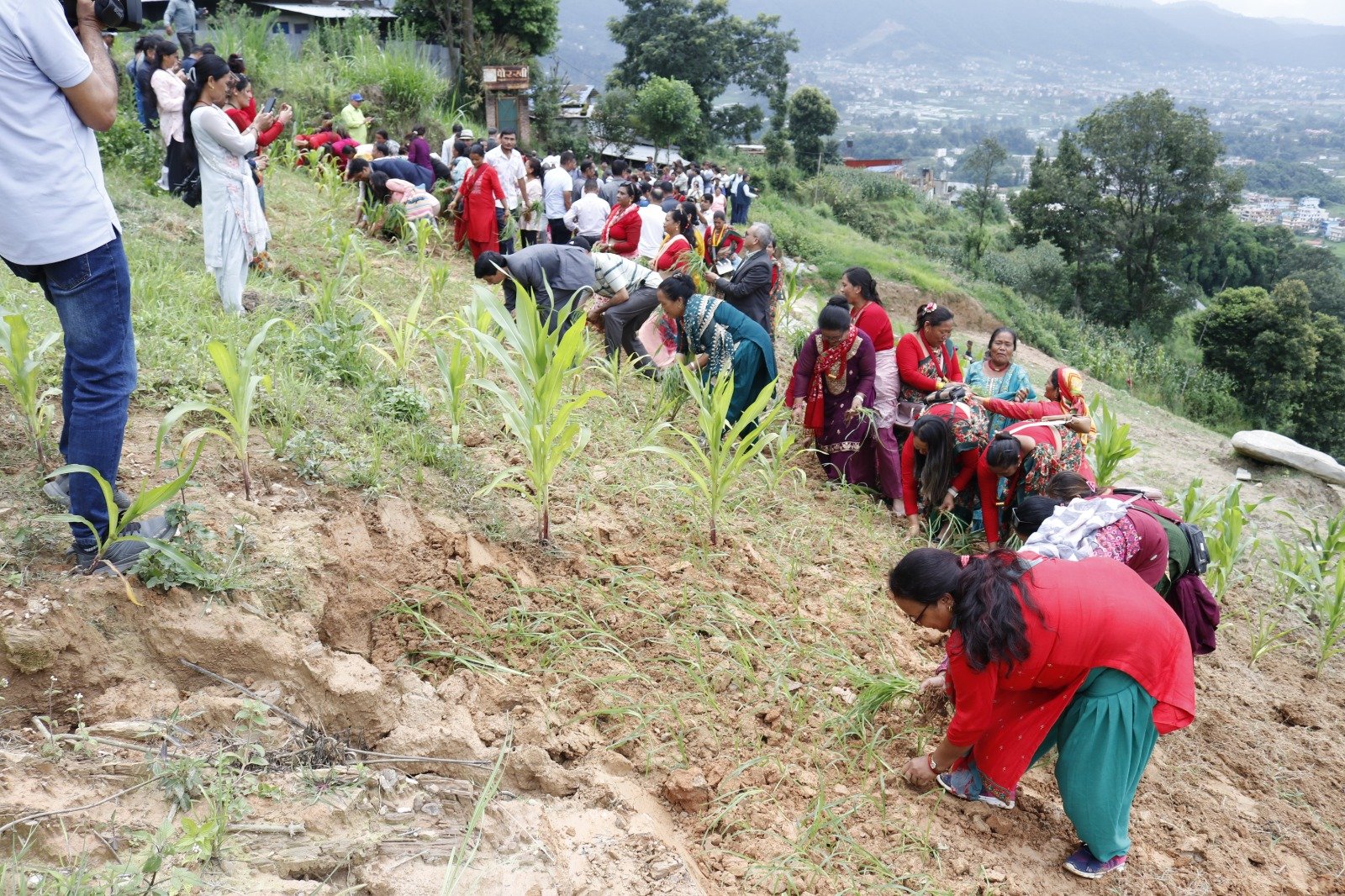 प्रथम राष्ट्रिय कोदो दिवस सम्पन्न, खाद्य सुरक्षाको आधारका रूपमा प्रवर्द्धन गर्ने सरकारको प्रतिबद्धता - www.ajakoartha.com