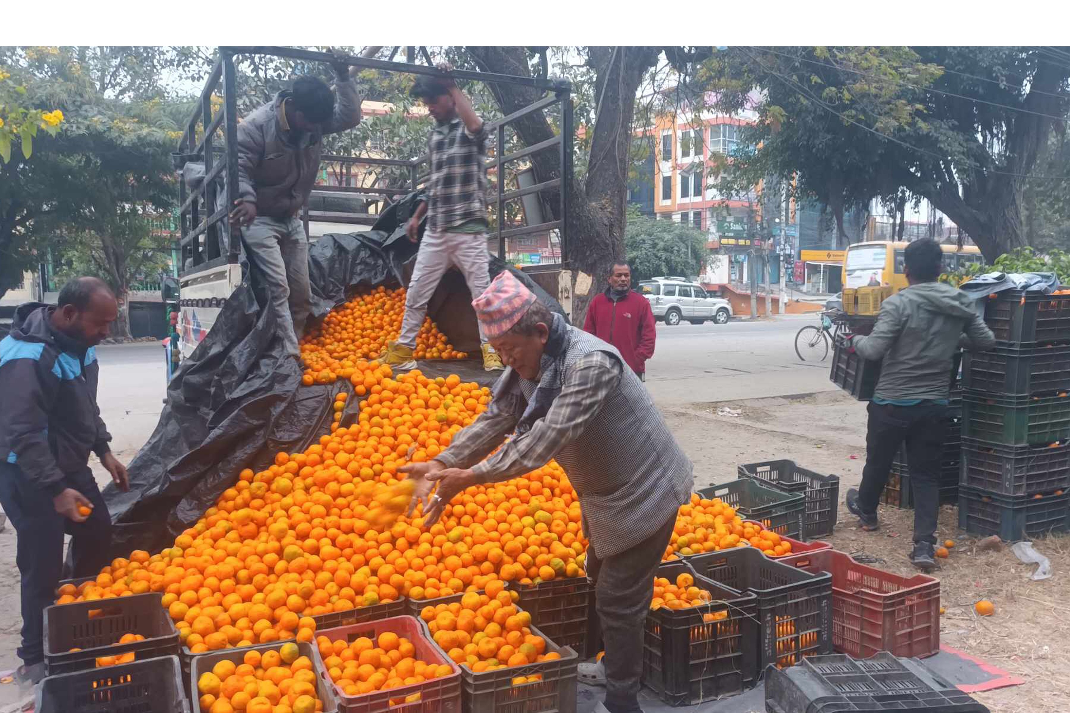 सुन्तलाको व्यापार